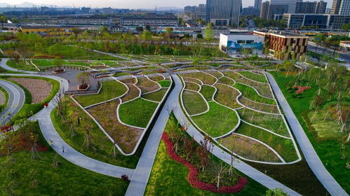杭州首个 净水厂上的生态公园等你来纳凉